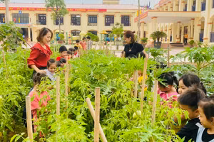 Cô trò Trường Mầm non Nghĩa Hòa (huyện Lạng Giang, Bắc Giang) trong một giờ học trải nghiệm.