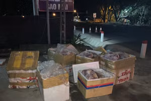 Số thịt lợn đã bốc mùi hôi thối trên đường vận chuyển bị phát hiện.