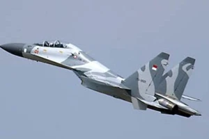 Số phận hẩm hiu của tiêm kích Su-30MK2 Indonesia bị chim “hạ gục“