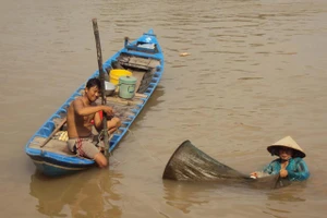 Miền Tây lao đao mùa lũ cạn: “Vụ này tiêu rồi“