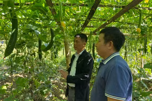 Nâng cao giá trị sản xuất nông nghiệp tại Mường So