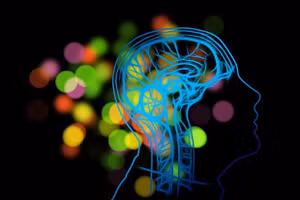 Ảnh Public Domain Pictures.