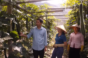 Vẽ tương lai xanh trên cánh đồng Mường Than