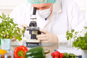 Cơ hội việc làm ngành công nghệ thực phẩm