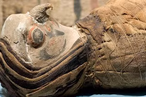 Xác ướp chim ưng được tìm thấy ở Ai Cập. Ảnh: Creative Commons.