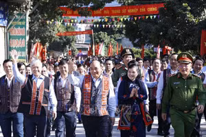 Chủ tịch nước dự Ngày hội Đại đoàn kết toàn dân tộc