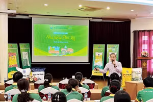 Chương trình 'Nhà nông Phú Mỹ': Lan tỏa kỹ thuật canh tác tới bà con nông dân