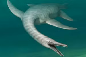 Phát hiện hóa thạch quái vật biển ‘cổ rắn, mặt cá sấu’