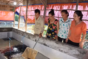 Gỡ khó và nâng cao chất lượng nguồn nhân lực vùng đồng bào DTTS