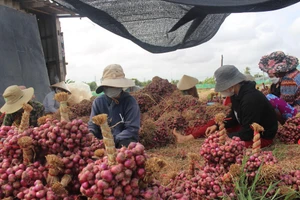 Nguyên nhân chất lượng nguồn nhân lực vùng đồng bào DTTS còn thấp