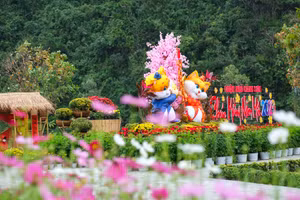 Vườn hoa xuân dưới chân núi Ngũ Hành Sơn. Ảnh: Hoàng Vinh.