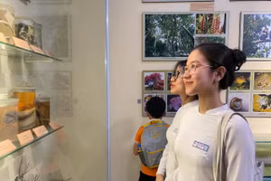 Học sinh Đà Nẵng tham quan, trải nghiệm tại Ngày hội di sản văn hóa. (Ảnh: Hoàng Vinh).