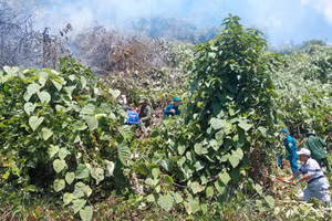 Lực lượng chức năng khẩn trương dập lửa. (Ảnh: Công an Đà Nẵng)