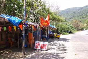 Các công trình trái phép ở bán đảo Sơn Trà. Ảnh: Châu Thư. 