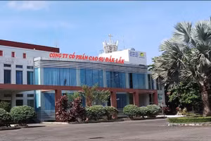 Công ty cổ phần Cao su Đắk Lắk.