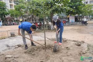 Sinh viên Trường ĐH Kinh tế, ĐH Đà Nẵng trồng cây xanh trong khuôn viên nhà trường, hưởng ứng chiến dịch Mỗi ngày một hành động xanh