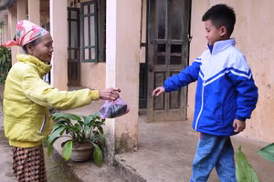 Bà đưa cơm cho cháu ở điểm trường lẻ bản Tân Sơn - Trường Tiểu học Thanh Xuân, xã Phú Xuân (Quan Hóa, Thanh Hóa). Ảnh: Thế Lượng.