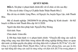 Quyết định xử phạt Công ty CP Xuân Thiên Thanh Hóa 2 và 3. (Ảnh: TL)