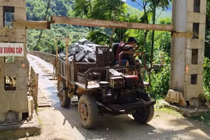 Người dân chở vật liệu xây dựng bằng xe công nông qua cầu treo Chiềng, xã Phú Sơn, (Quan Hóa, Thanh Hóa) trong tình trạng 'nơm nớp lo sợ. Ảnh: Thế Lượng.