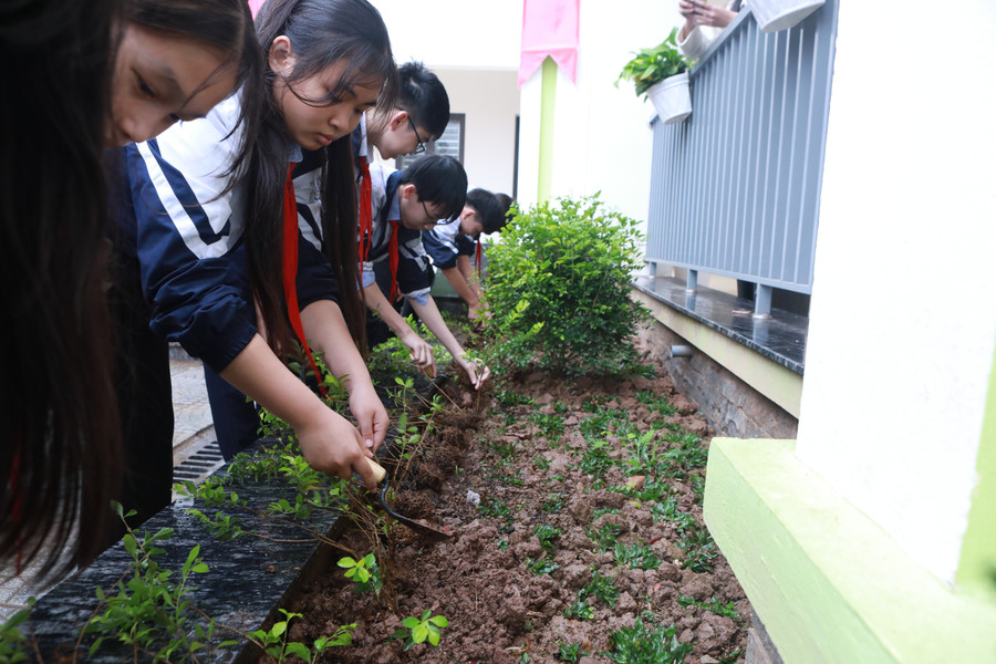 Nhấn vào ảnh để phóng to 8.jpg?w=900