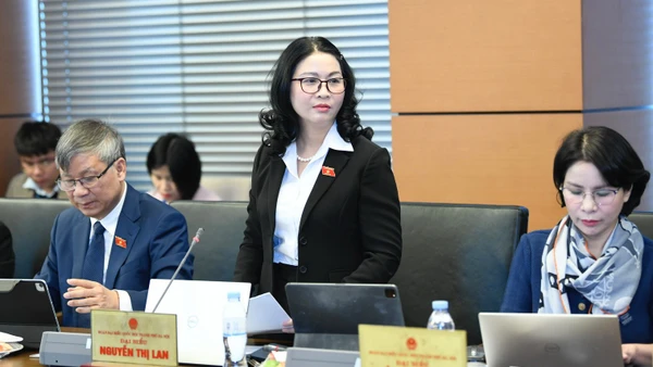 GS.TS Nguyễn Thị Lan - đại biểu Quốc hội TP Hà Nội, Giám đốc Học viện Nông nghiệp Việt Nam.