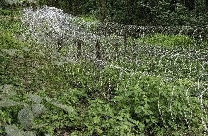 3 lớp hàng rào thép gai được bố trí riêng rẽ trong cánh rừng 4-dau-hieu-ukraine-tu-bo-donetsk.jpg