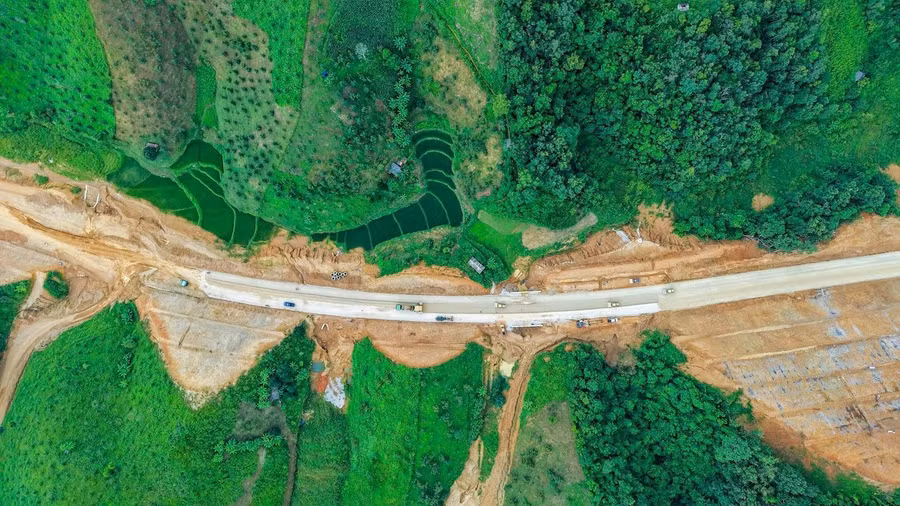 cao-toc-dong-dang-tra-linh.jpg