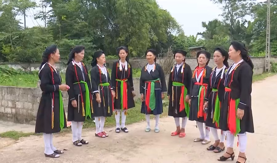 soong-co-nam-hoa.jpg