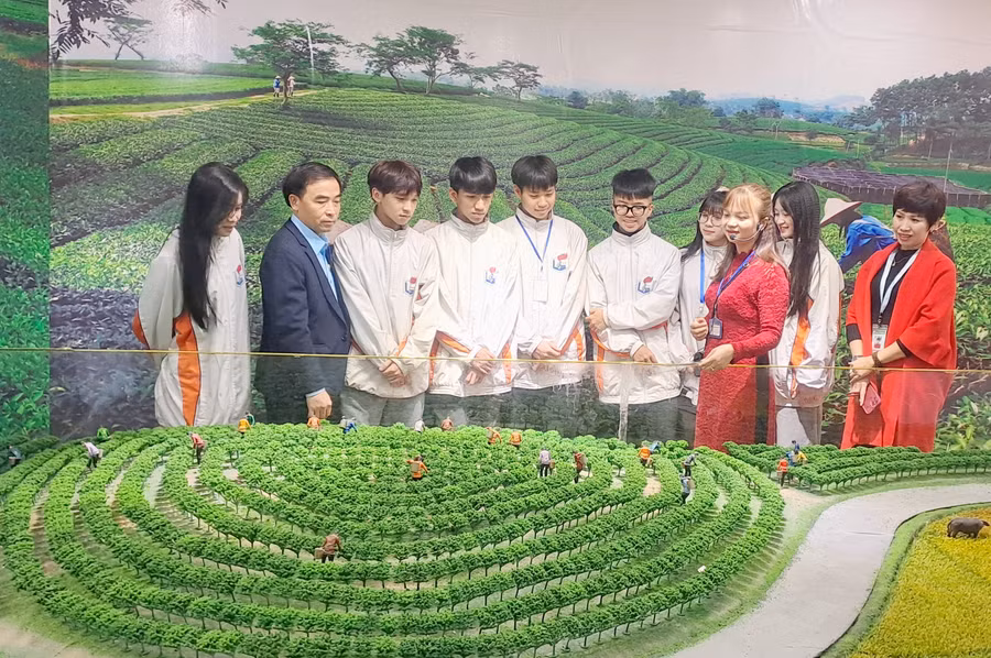 Thày trò trường THPT Gang Thép (Thái Nguyên) tại không gian văn hóa trà Tân Cương.