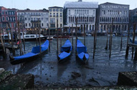 Sống ở Venice trơ đáy 