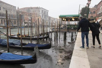 Sống ở Venice trơ đáy 