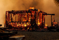 chay-rung-o-park-fire-california-014.jpg