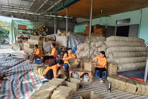 Hợp tác xã Tân Thọ mỗi năm xuất ra thị trường cả triệu sản phẩm.