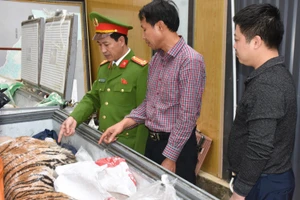 Cá thể hổ được Hoàng Đình Đạt (áo sọc đỏ) cấp đông cất giấu dưới hầm tại nhà riêng.