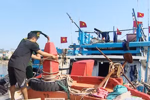 Ngư dân gia cố, chằng buộc tàu thuyền.