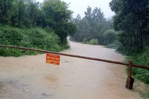 Chính quyền cắm biển cảnh báo người dân không đi vào khu vực ngập lụt.