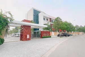 Hệ thống giáo dục liên cấp Nobel School có tất cả 9 trường.