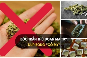 Ma túy "cỏ Mỹ" cực kỳ nguy hiểm đối với cơ thể người. (Ảnh: minh hoạ)