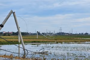 Hàng loạt cột điện ở Thanh Hoá gãy đổ sau mưa giông.