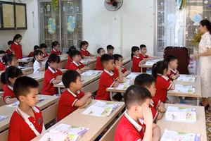  Theo kế hoạch tuyển sinh đầu cấp năm học 2026-2027 tại phường Hạc Thành, sĩ số ở các lớp sẽ giảm so với mọi năm.