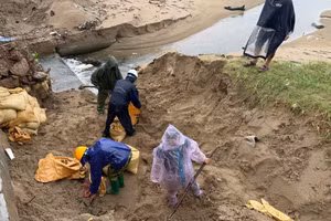 Người dân đang gia cố đê biển ứng phó bão Wipha.