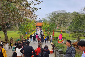 Nhiều du khách từ khắp nơi về di tích Lam Kinh tham quan.