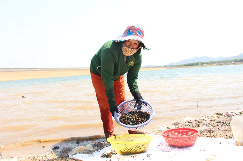 Cào hến mưu sinh ở hồ thủy lợi Đăk Yên