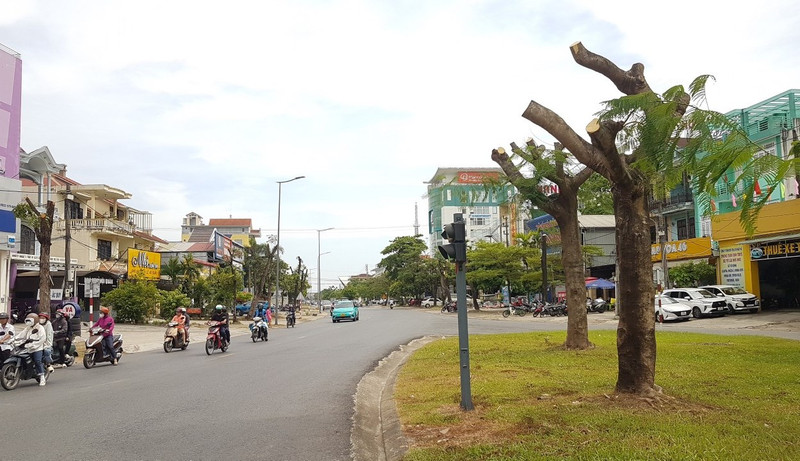 Tại sao hàng loạt cây xanh ở Huế bị cắt trụi cành giữa trời nắng?