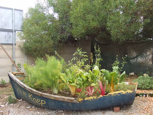 14 khu vườn trồng rau đẹp mê mẩn