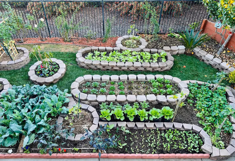 14 khu vườn trồng rau đẹp mê mẩn