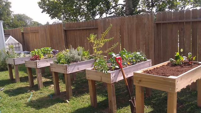 14 khu vườn trồng rau đẹp mê mẩn