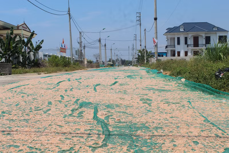 Nghề 'kỳ lạ' ở Thanh Hoá, trời càng nắng dân càng thích