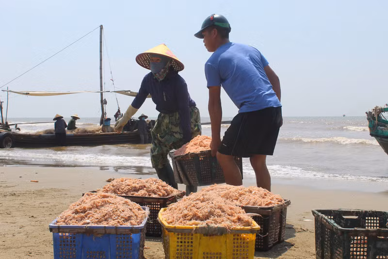 Nghề 'kỳ lạ' ở Thanh Hoá, trời càng nắng dân càng thích