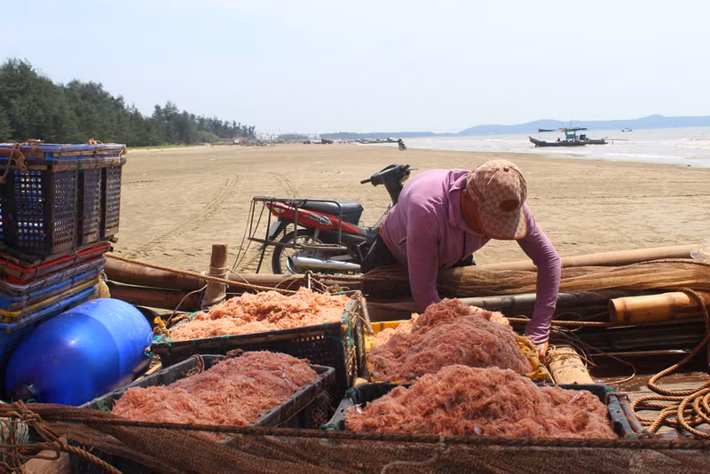 Nghề 'kỳ lạ' ở Thanh Hoá, trời càng nắng dân càng thích
